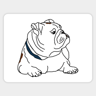 English bulldog Sticker